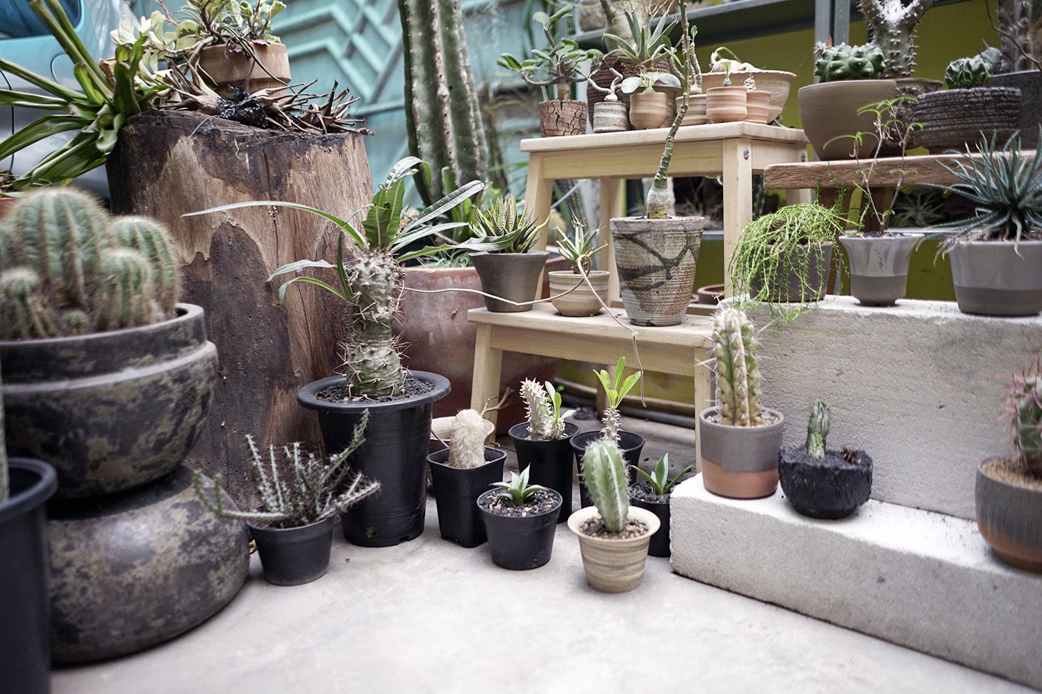 Taman Hayat Local Garden Neighbourlist 10