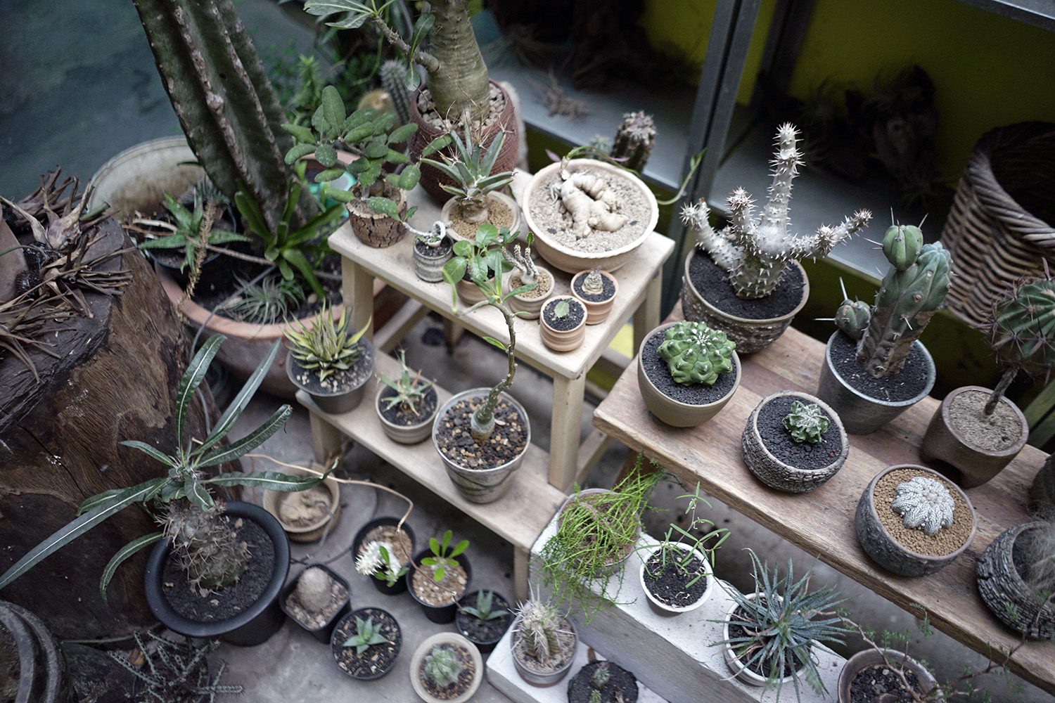 Taman Hayat Local Garden Neighbourlist 16