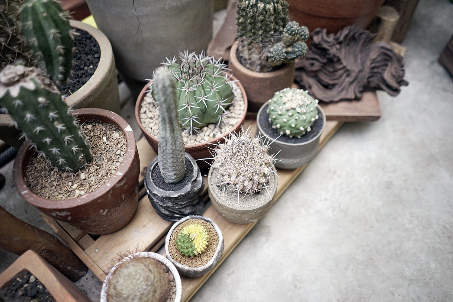 Taman Hayat Local Garden Neighbourlist 5